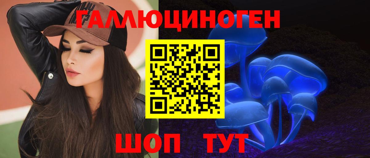 Псилоцибиновые грибы мицелий Черногорск