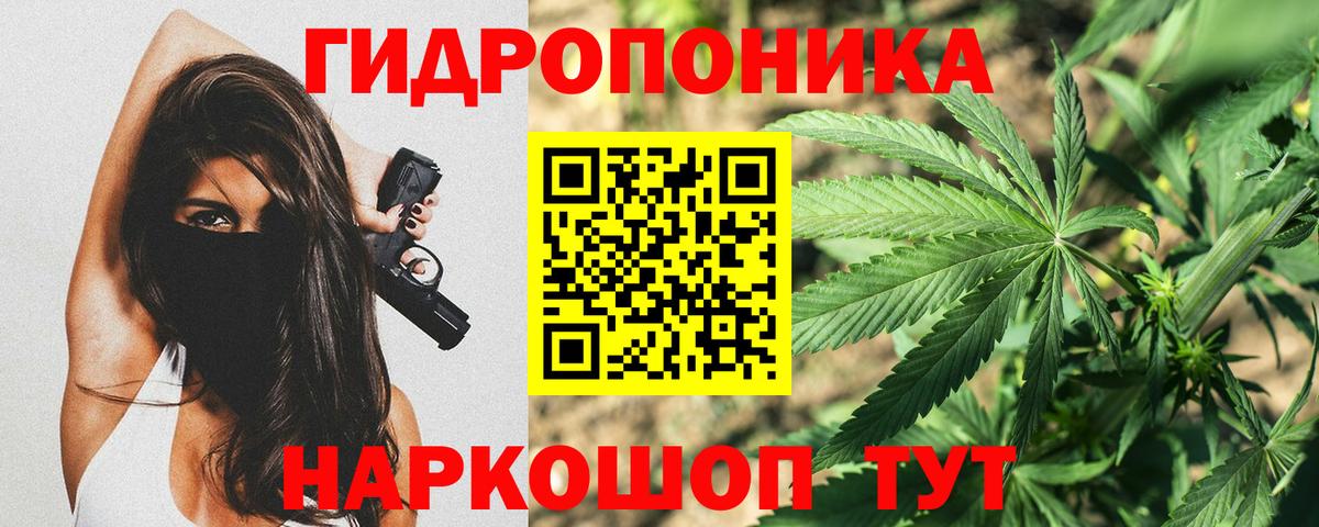 Черногорск  Каннабис VHQ  Шишки марихуана ГИДРОПОН  МАРИХУАНА марихуана  Вход с VPN 